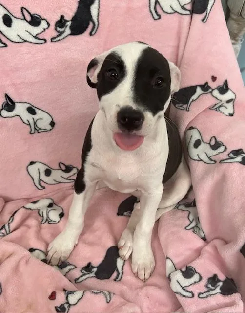 Krypto Glow thumbnail 5