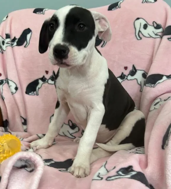 Krypto Glow thumbnail 6