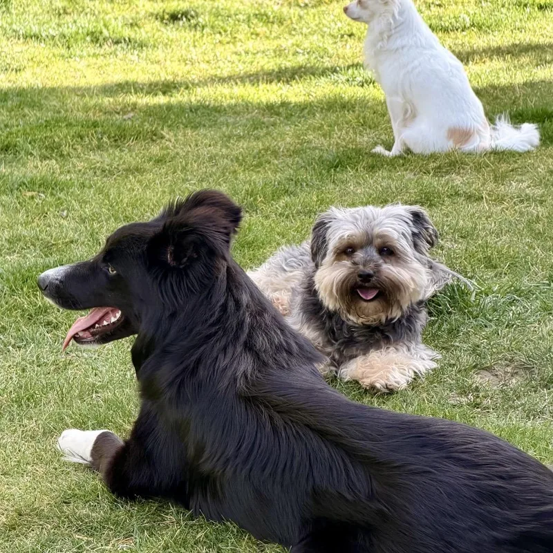 Sapphire thumbnail 2