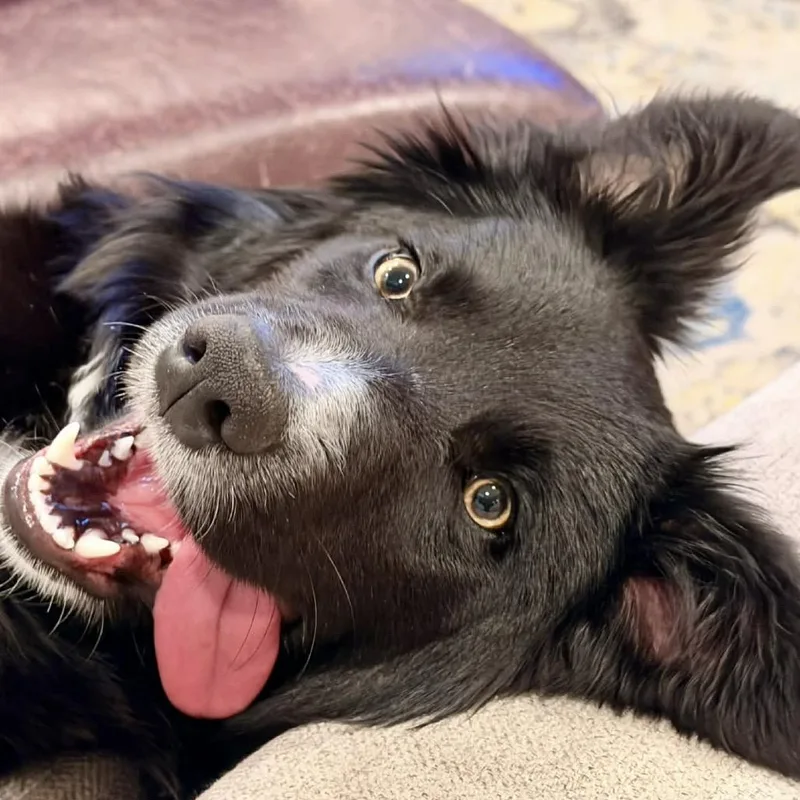 Sapphire thumbnail 3