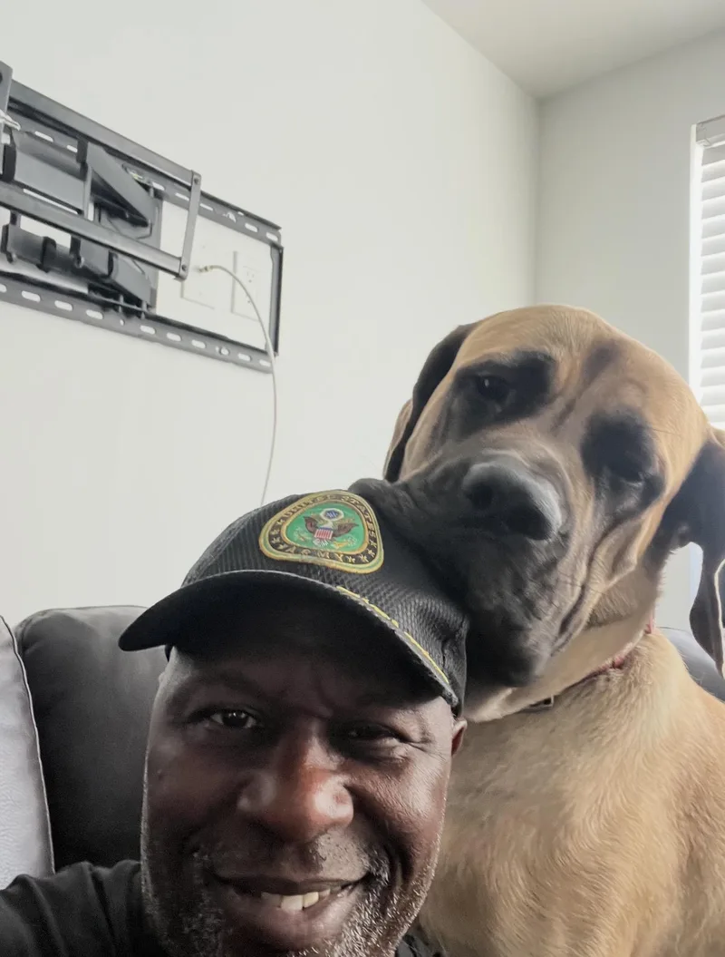 Easy The English Mastiff thumbnail 2