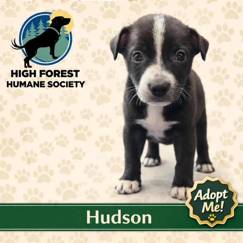 Hudson