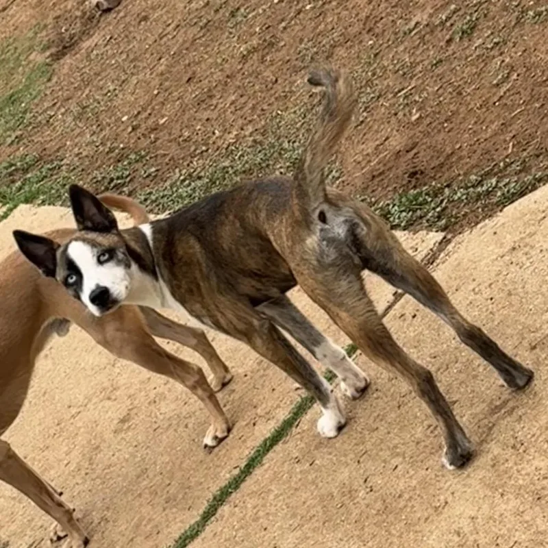 Marky Mark thumbnail 2