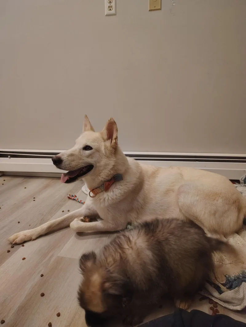 Snow White thumbnail 5