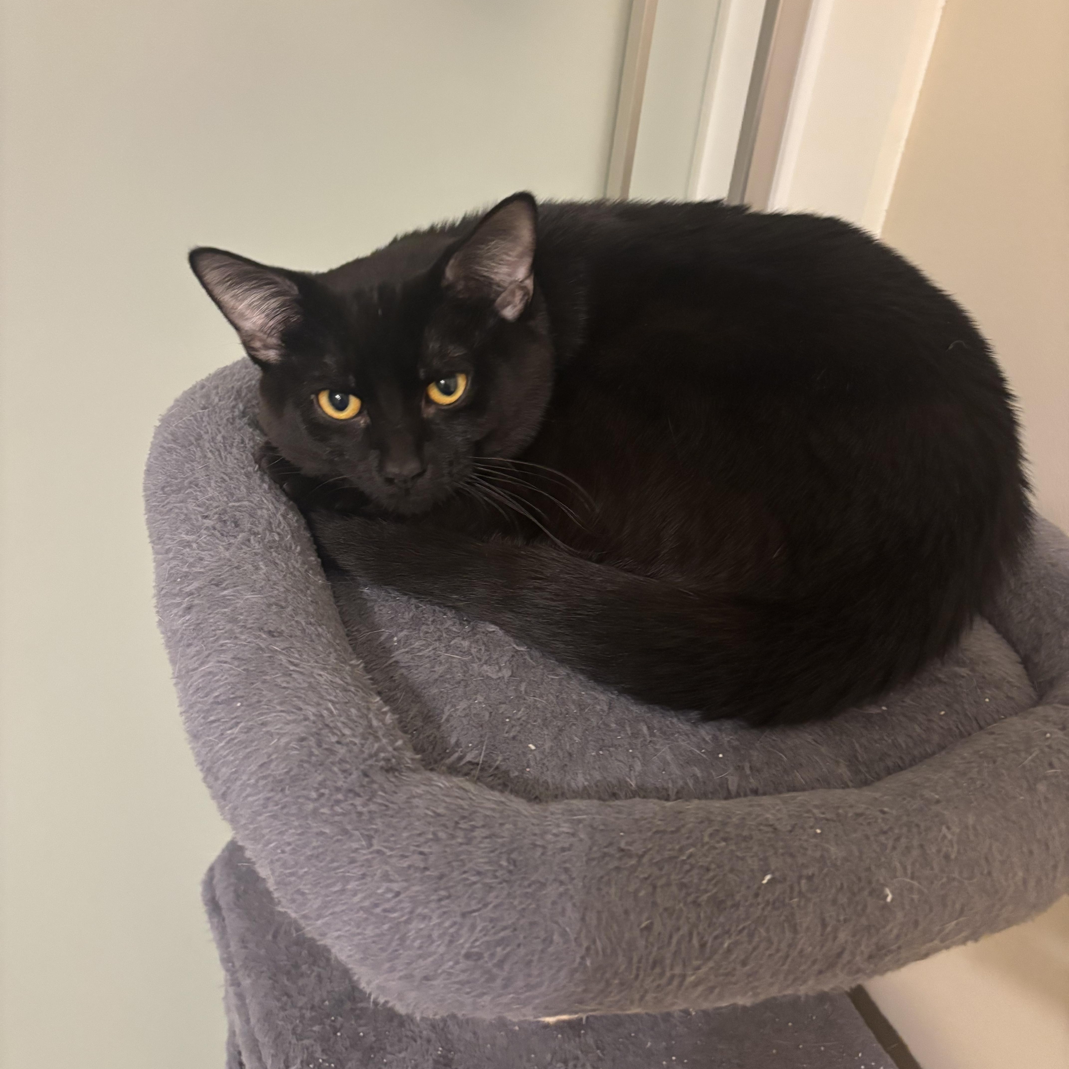 Jack And Rose thumbnail 2