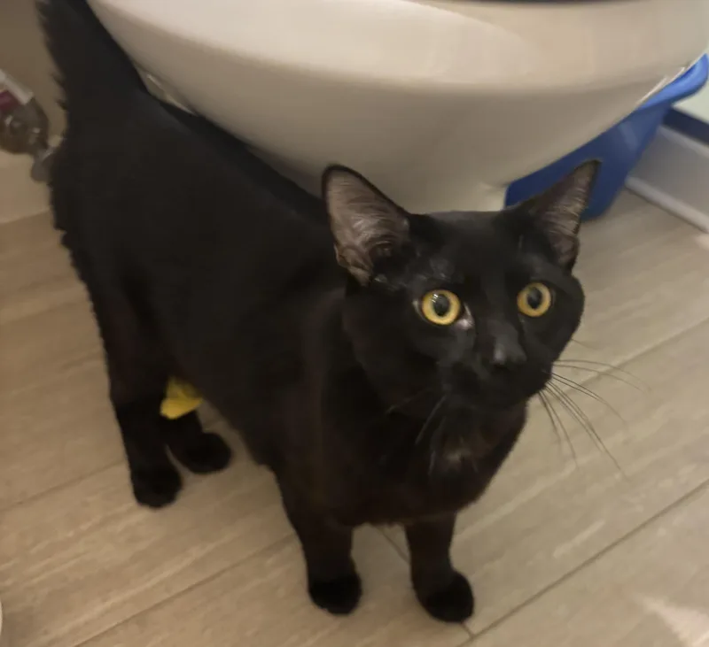 Jack And Rose thumbnail 3