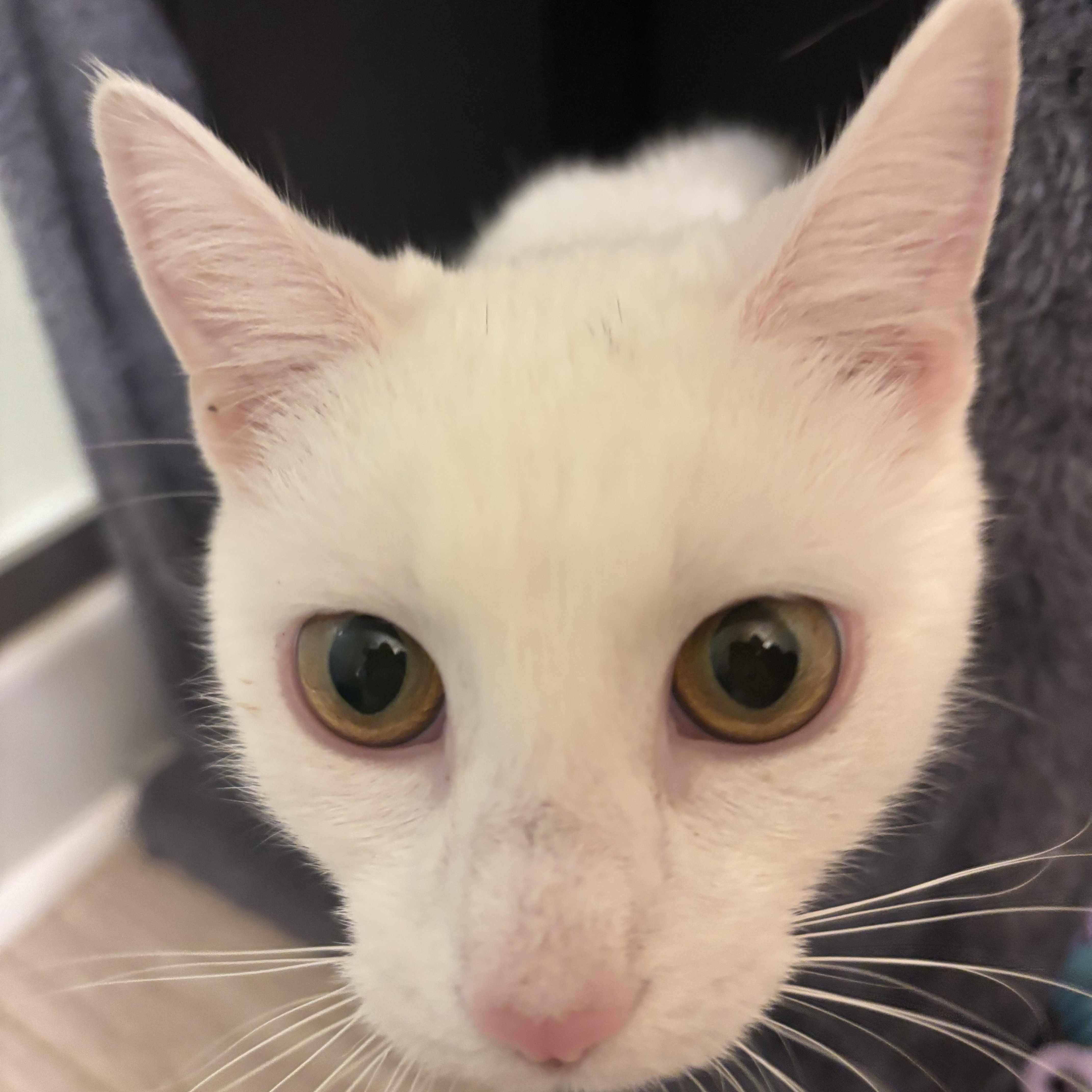 Jack And Rose thumbnail 4