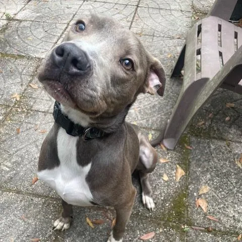 Stan Lee thumbnail 4