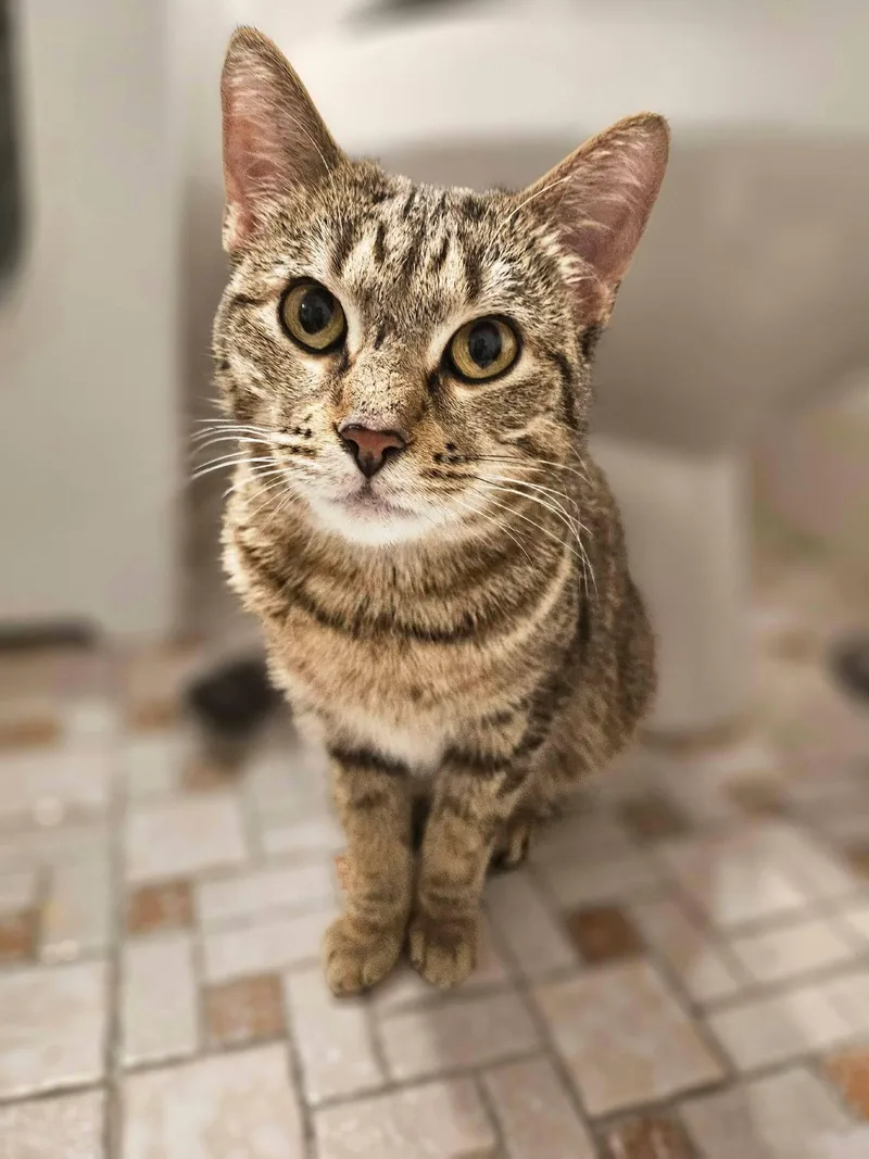 Nadia And Carmine thumbnail 3