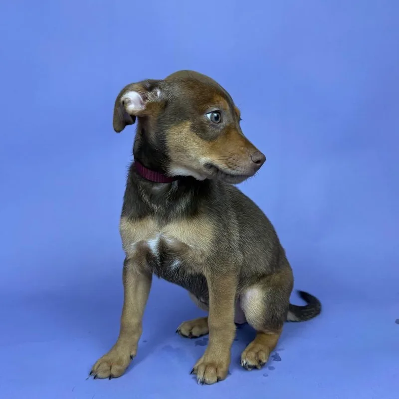 Jacqueline thumbnail 2