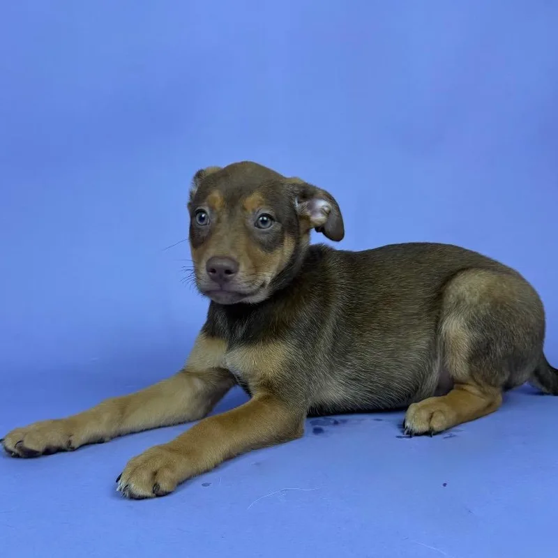 Jacqueline thumbnail 3