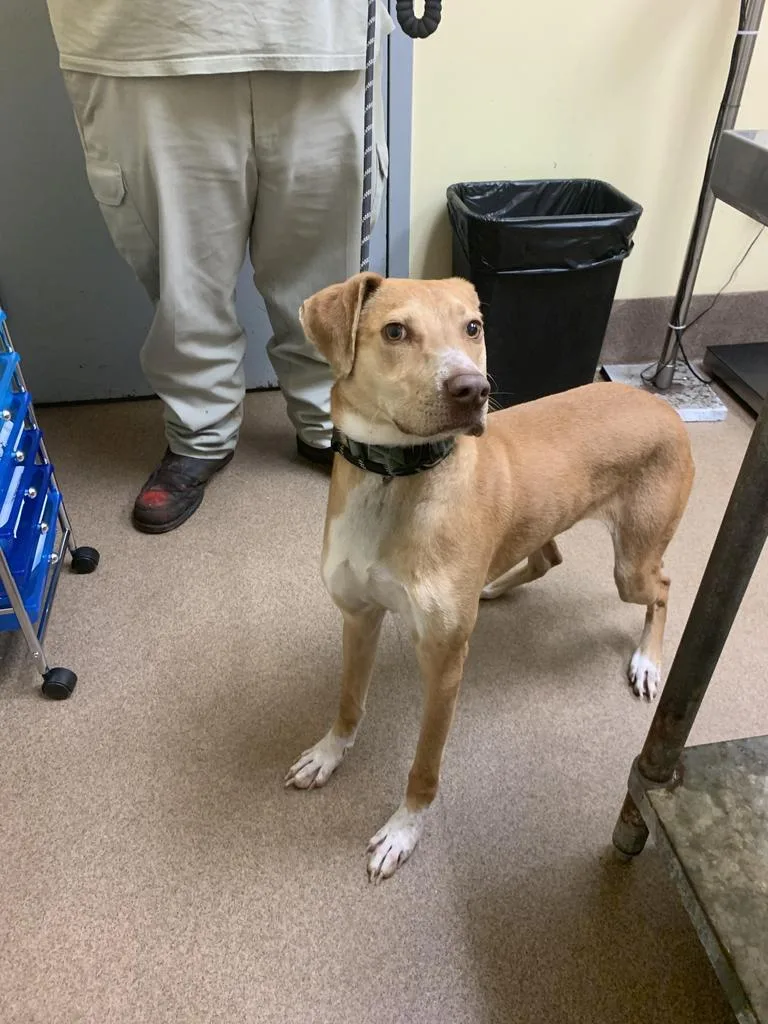 Coldstone thumbnail 2