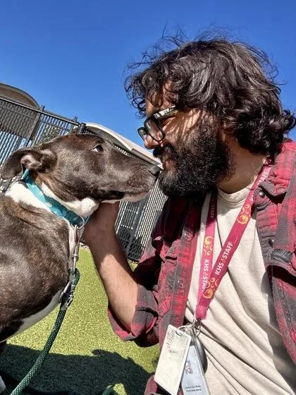 Saturniidae thumbnail 3