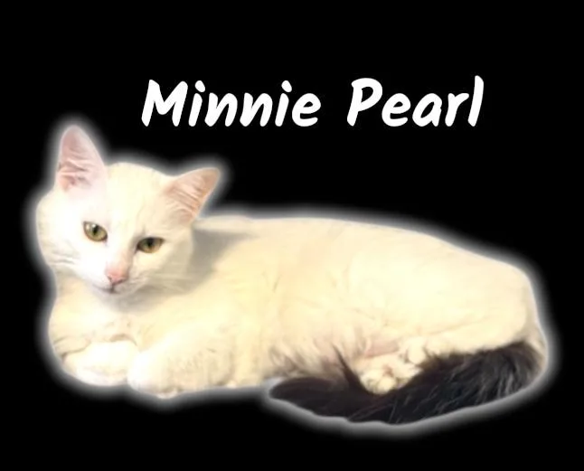 Minnie Pearl