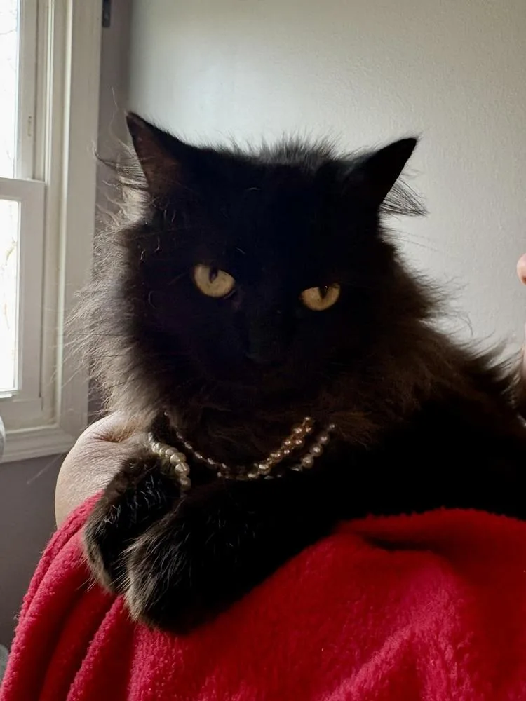 Ruby Mae thumbnail 2