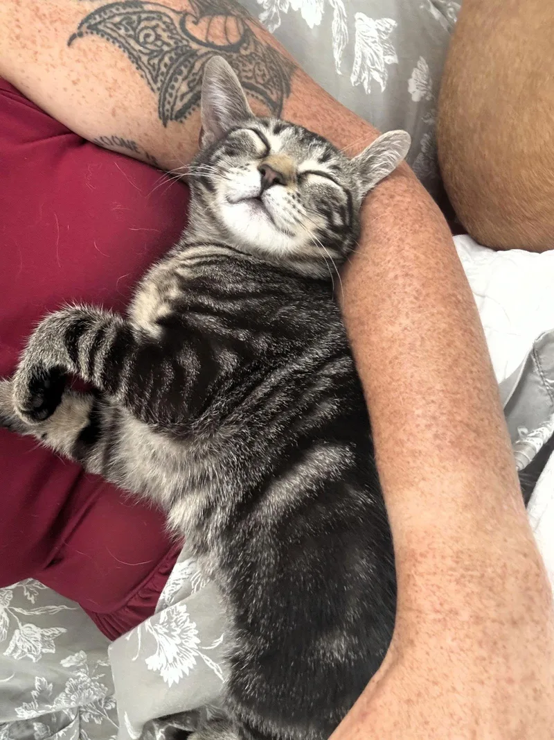 Laffy Taffy thumbnail 2