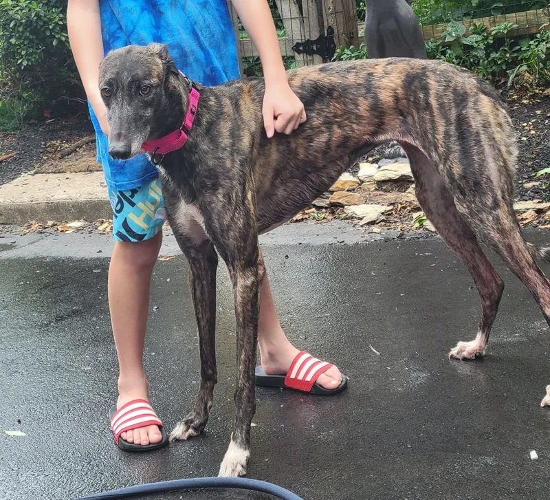 Ww Dragonfruit thumbnail 2