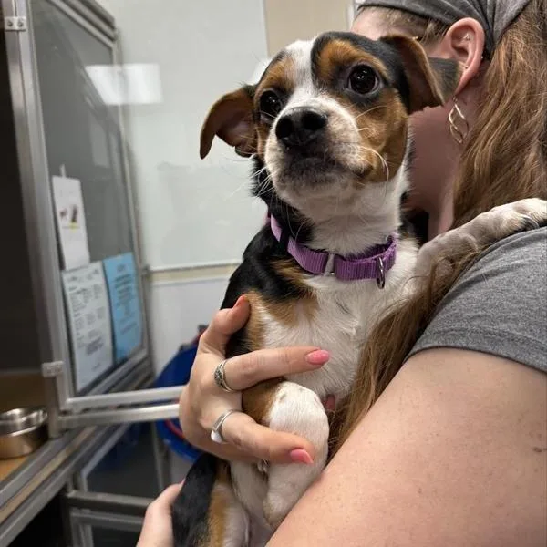 Nashville thumbnail 2