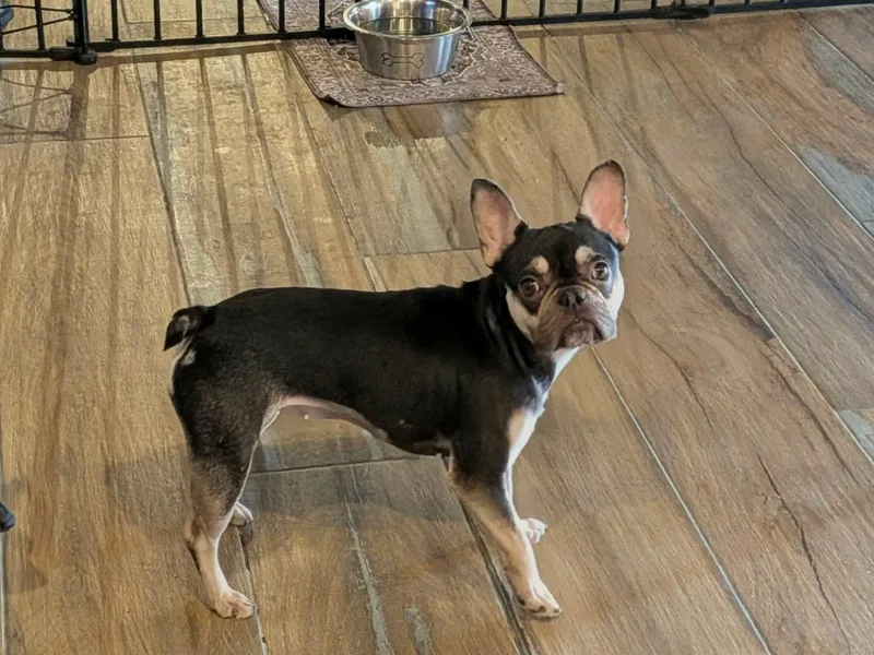 Babygirl thumbnail 2