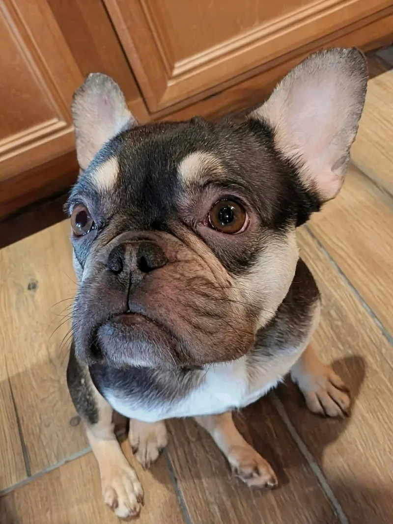 Babygirl thumbnail 4