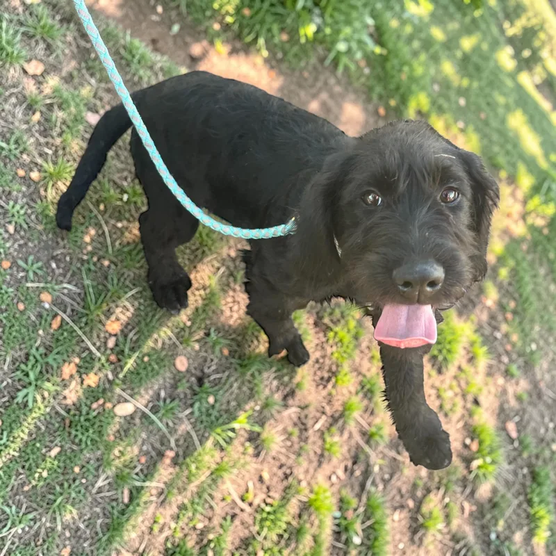 Graphite thumbnail 2