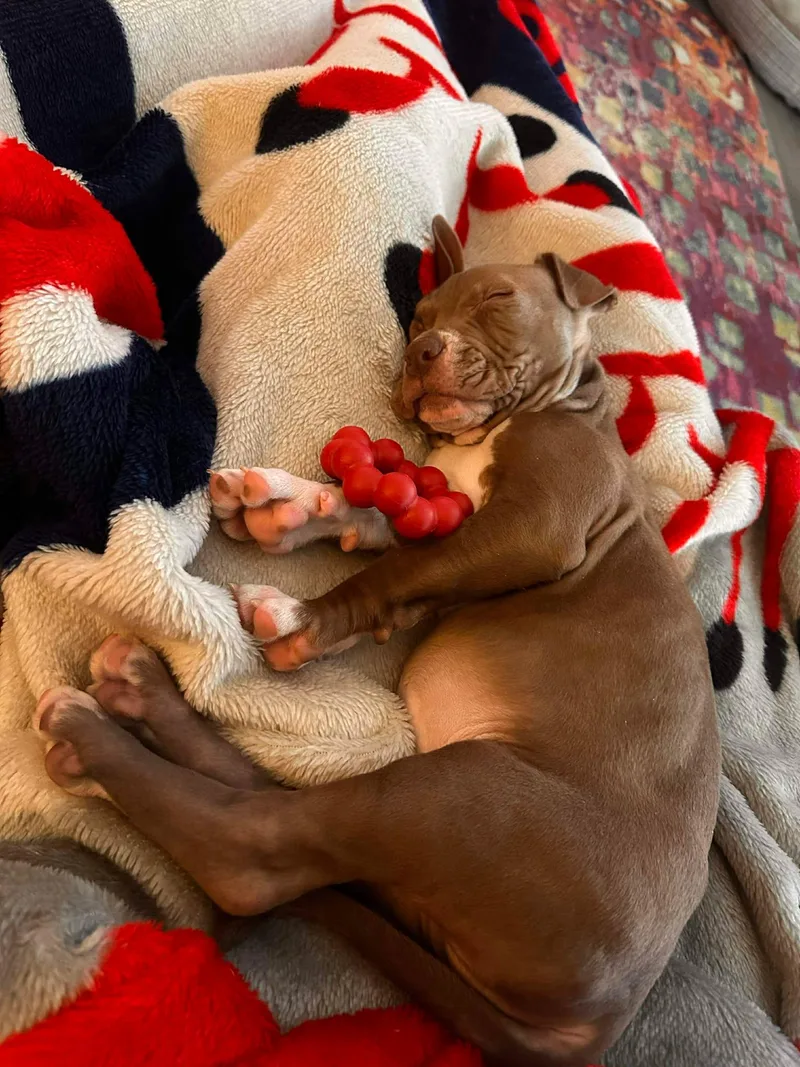 Grandpa Wrinkles thumbnail 2