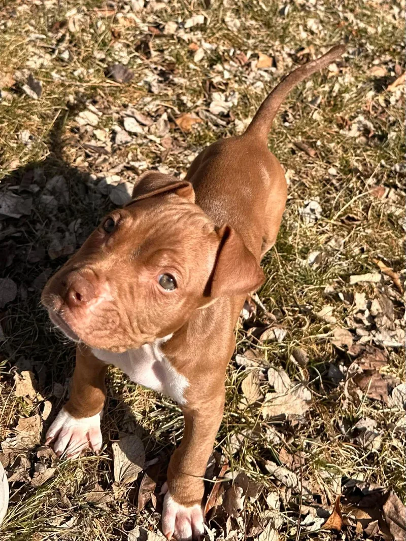 Grandpa Wrinkles thumbnail 3