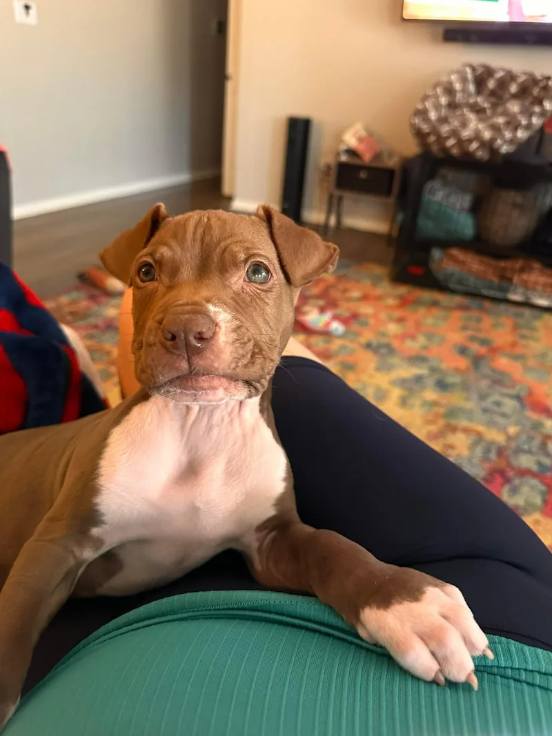 Grandpa Wrinkles thumbnail 4