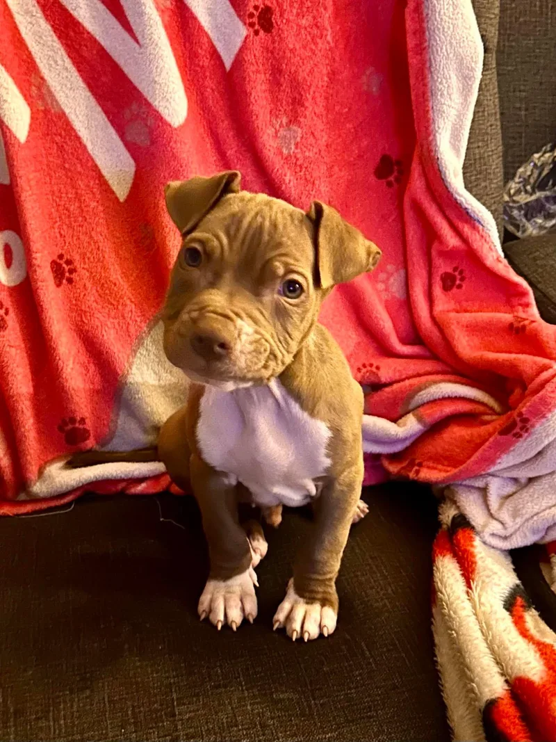 Grandpa Wrinkles thumbnail 5