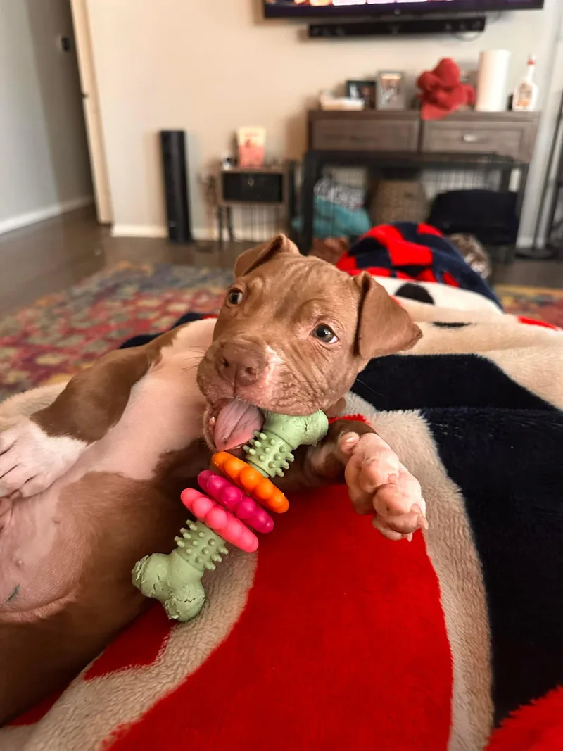 Grandpa Wrinkles thumbnail 6