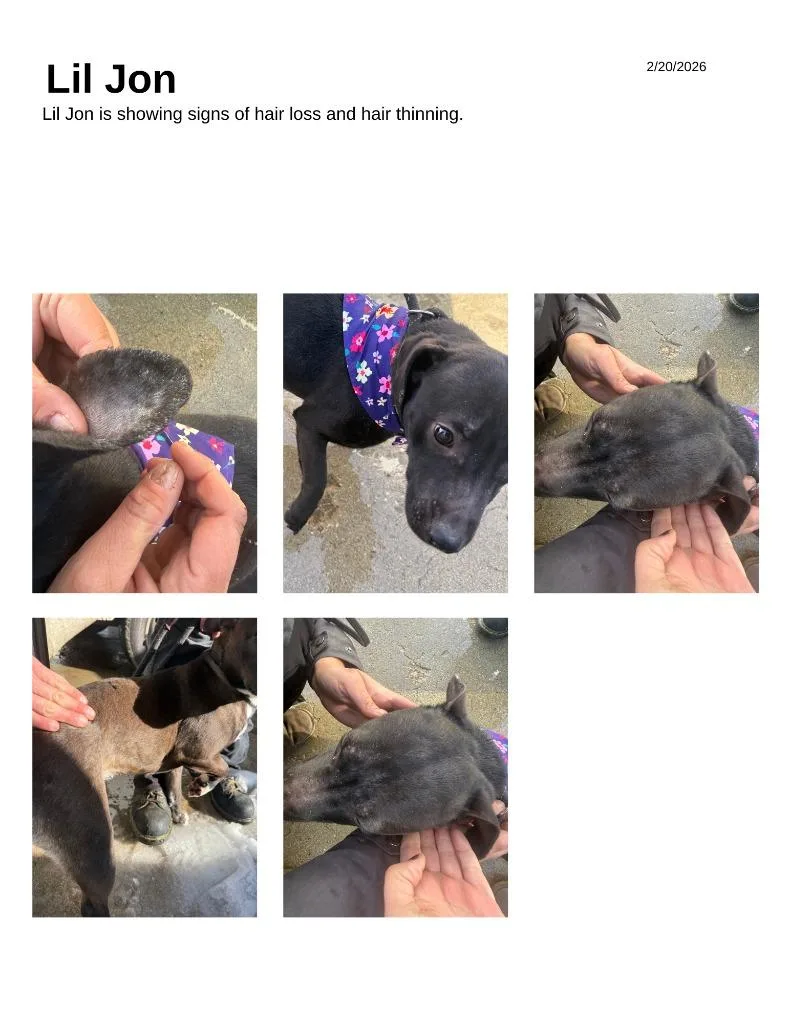 Lil John thumbnail 2