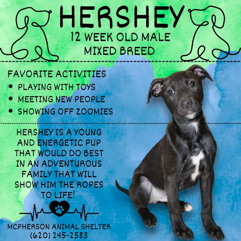 Hershey
