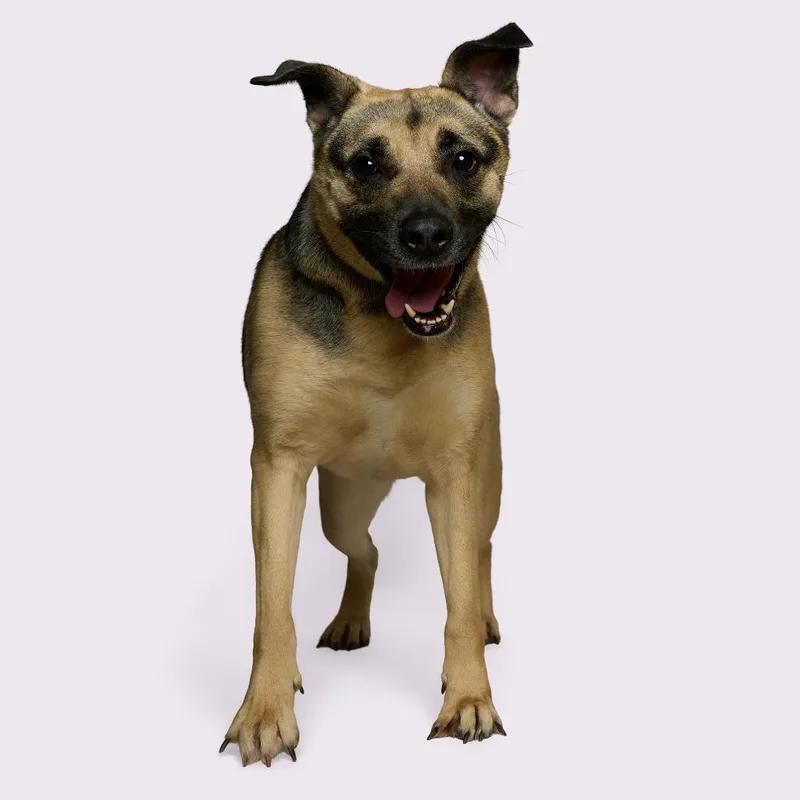 Rein Marie thumbnail 2