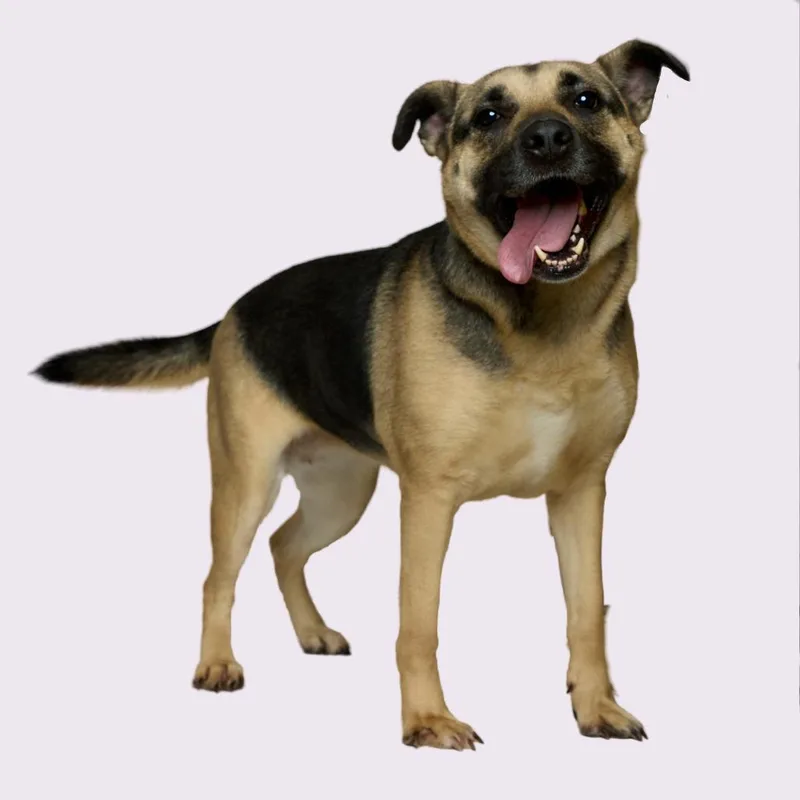 Rein Marie thumbnail 3