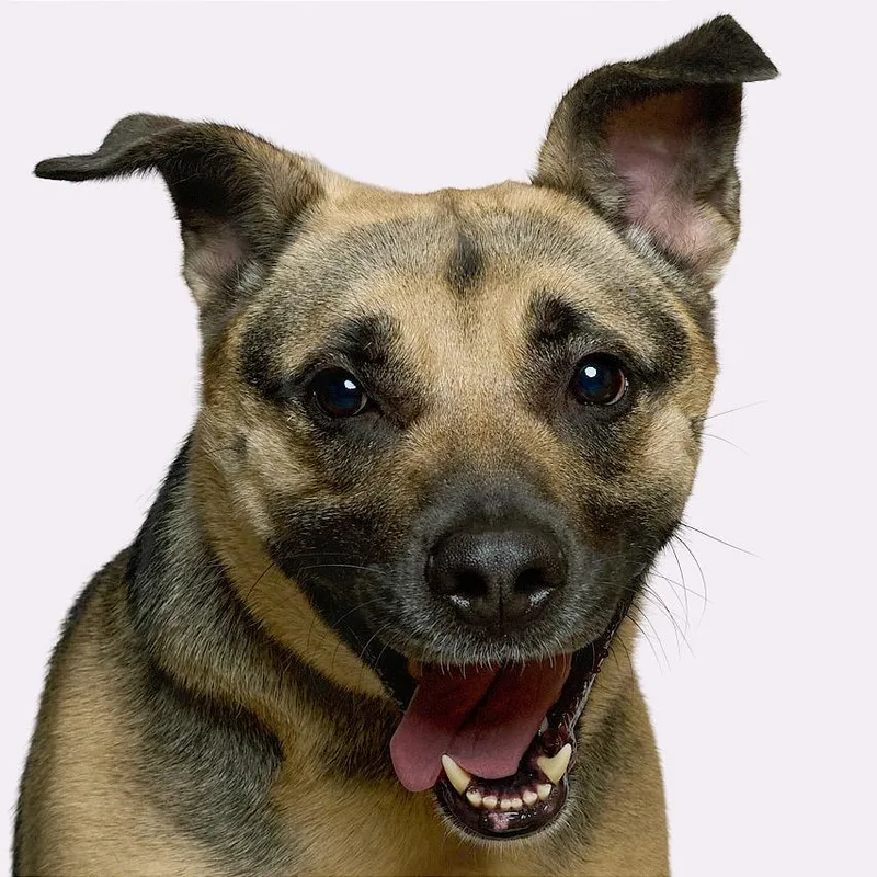 Rein Marie thumbnail 4