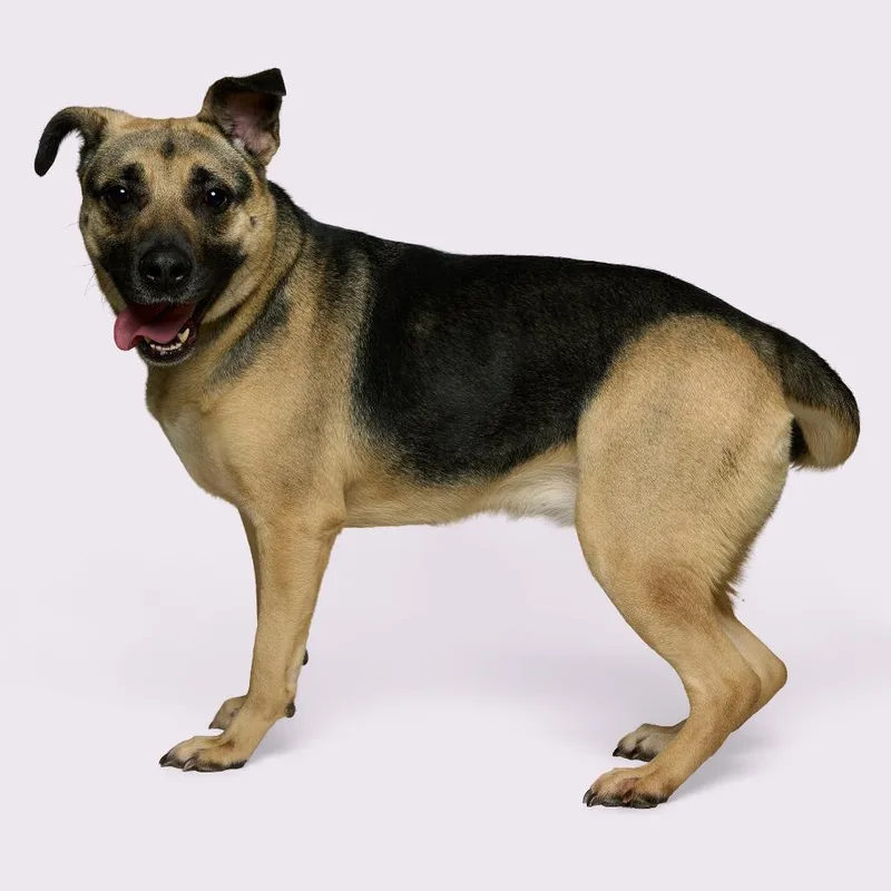 Rein Marie thumbnail 5