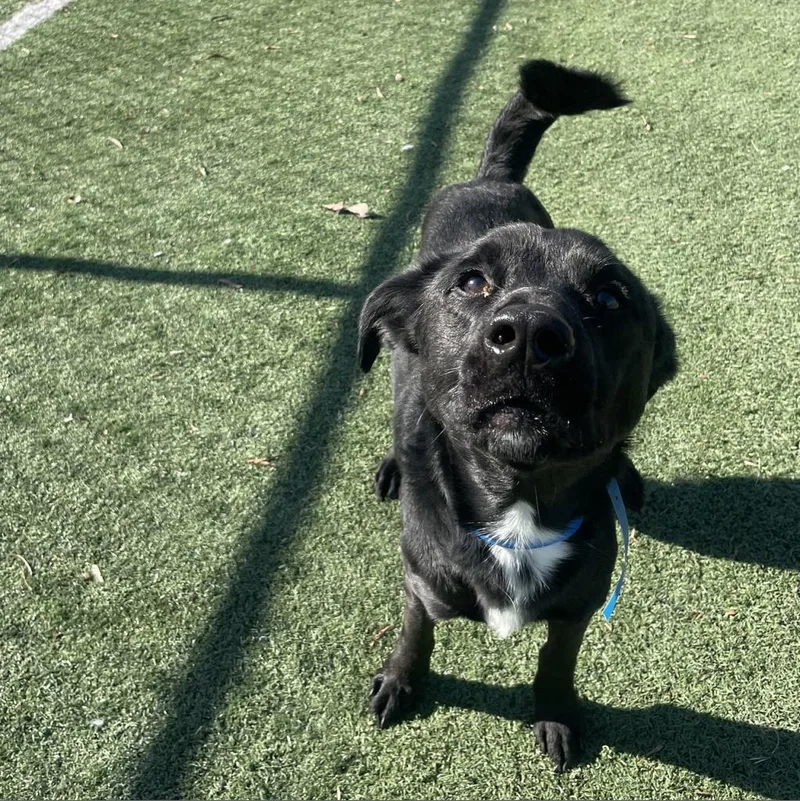 Sprinkle thumbnail 2