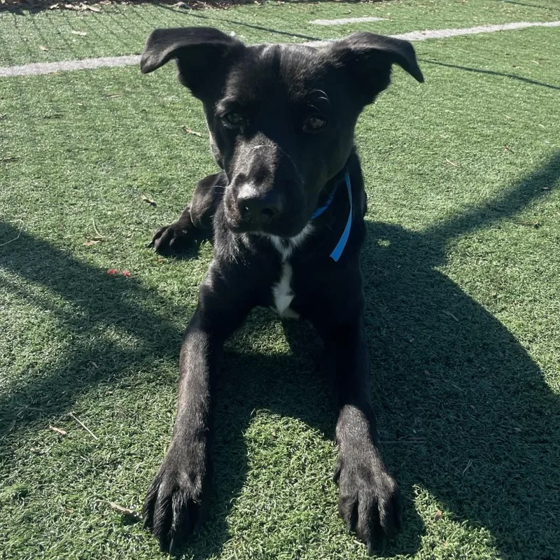 Sprinkle thumbnail 3