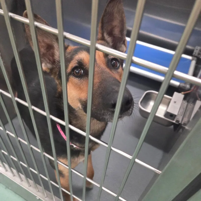 Sunstorm thumbnail 3