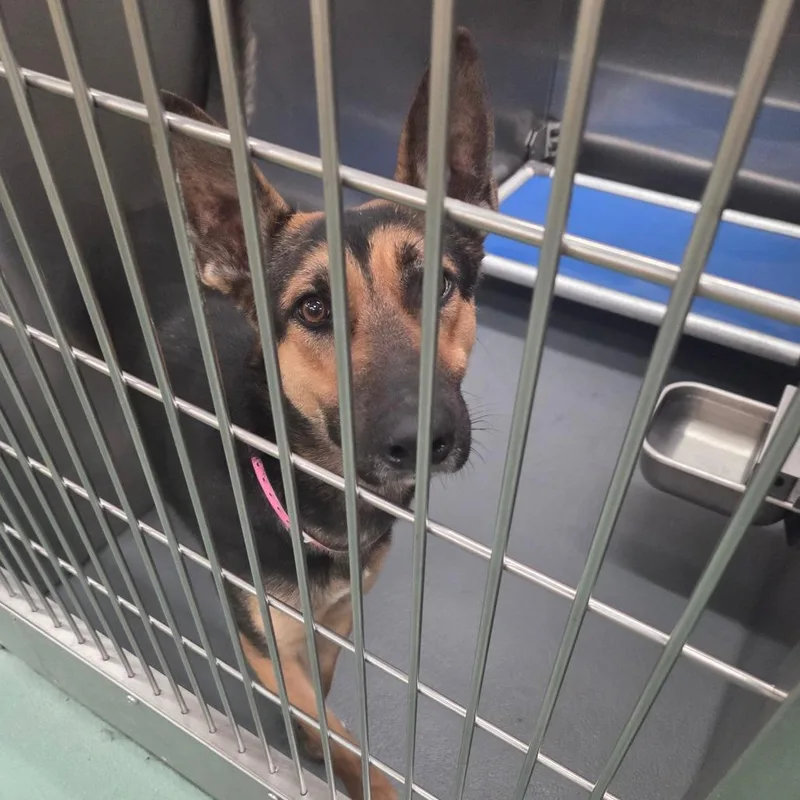 Sunstorm thumbnail 4