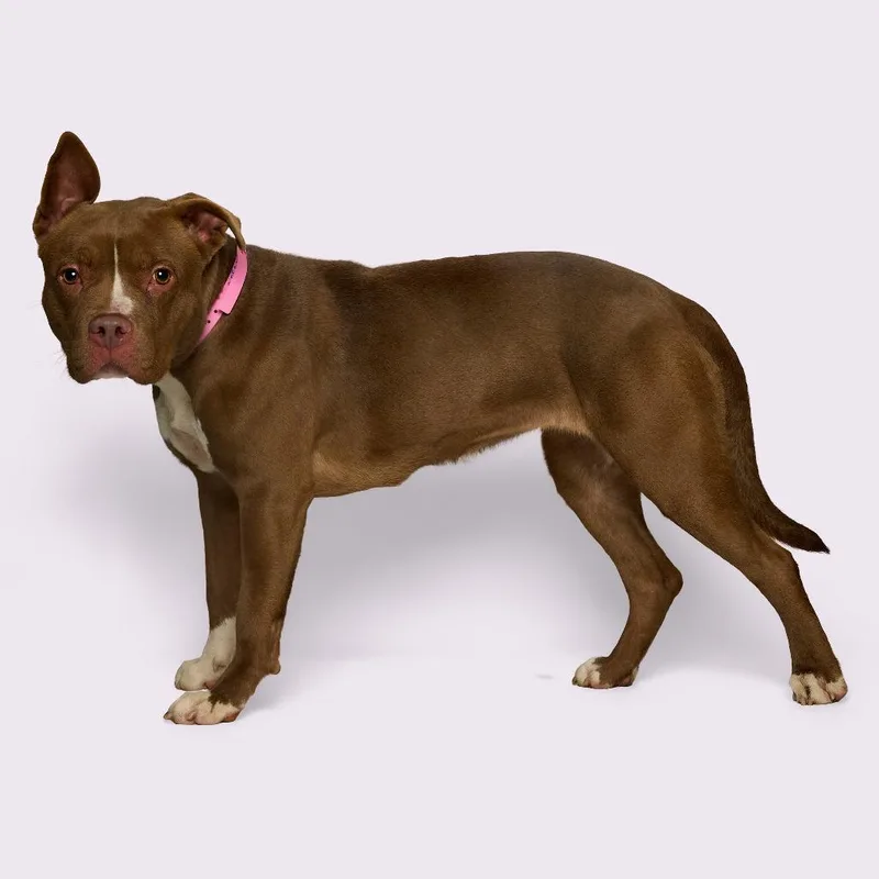 Sharnice thumbnail 2