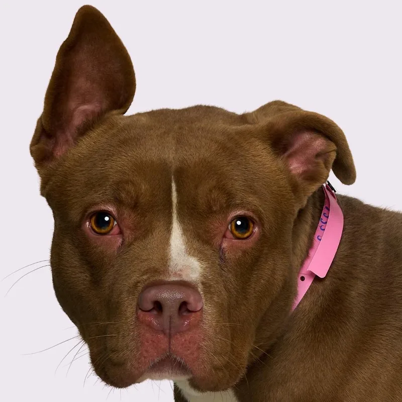 Sharnice thumbnail 3