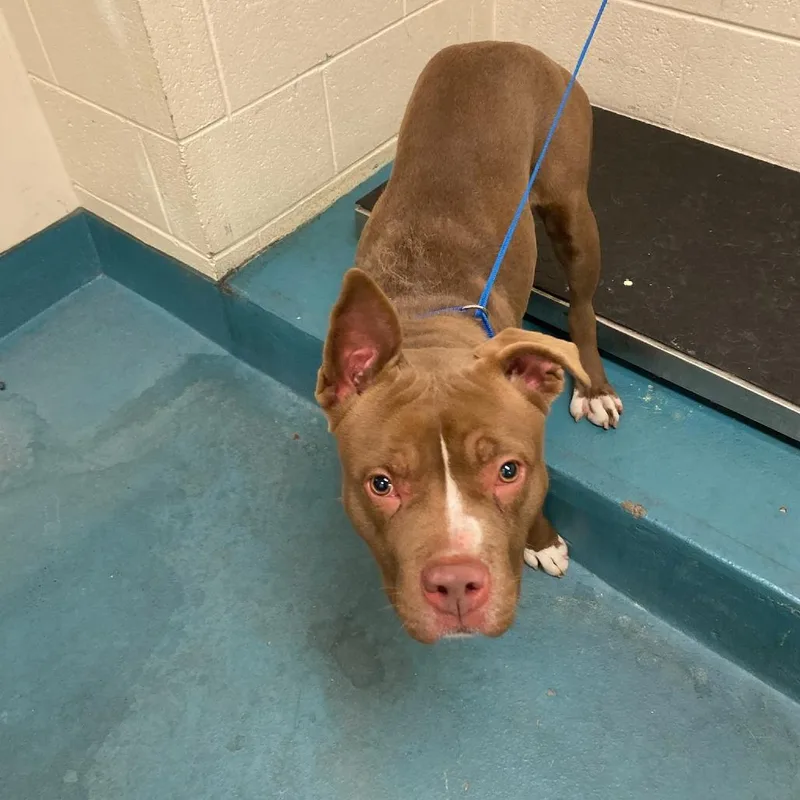 Sharnice thumbnail 4