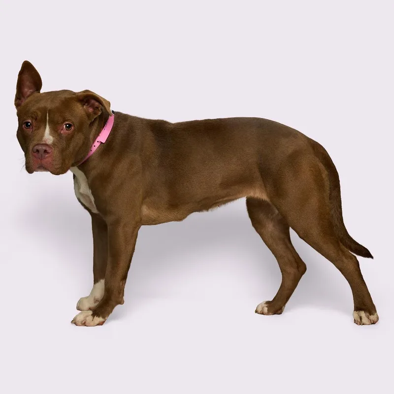 Sharnice thumbnail 5