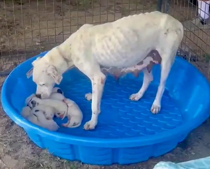 Marilyn Monroe thumbnail 2