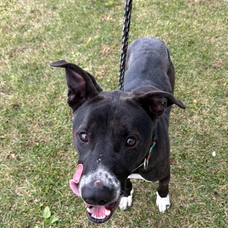 Bob Barker thumbnail 4