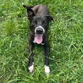 Bob Barker thumbnail 5