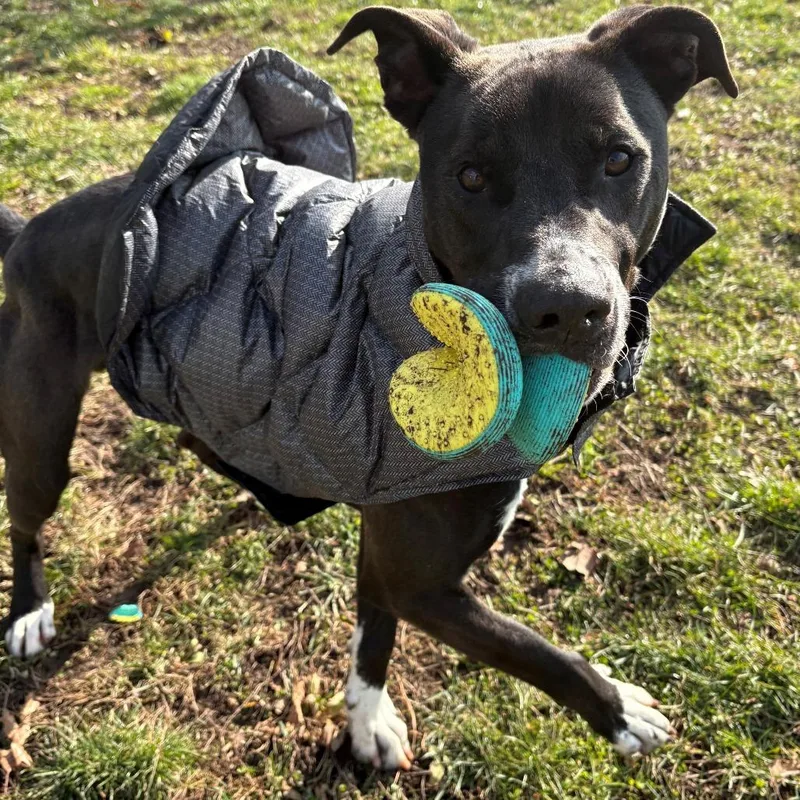 Bob Barker thumbnail 6