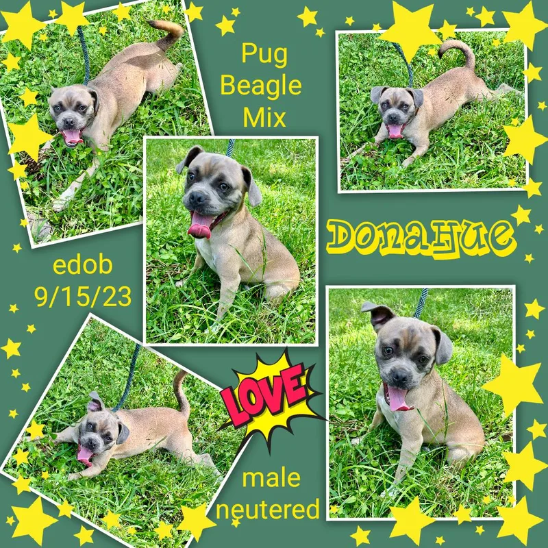 Donahue Ort  Lots thumbnail 2