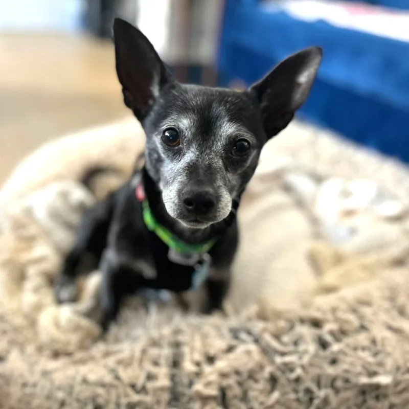 Jeff Probst thumbnail 2